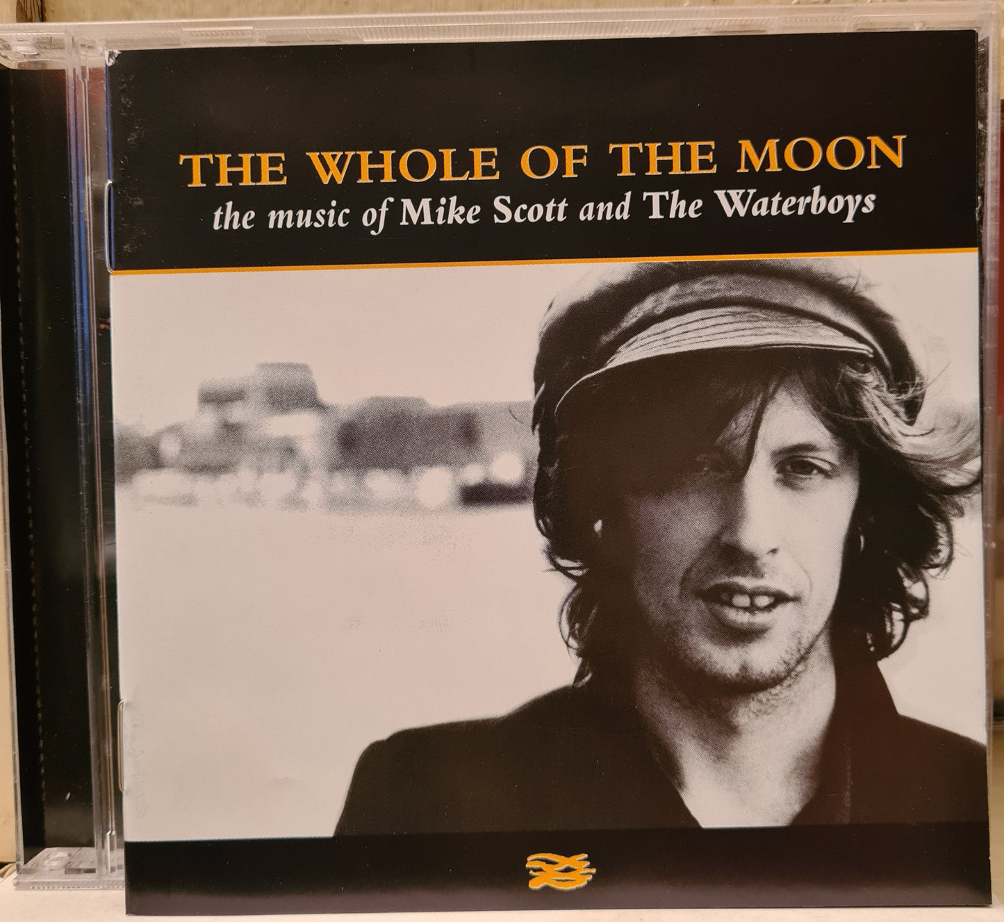 Mike Scott & the Waterboys ~ The Whole of the Moon (CD - RSA)