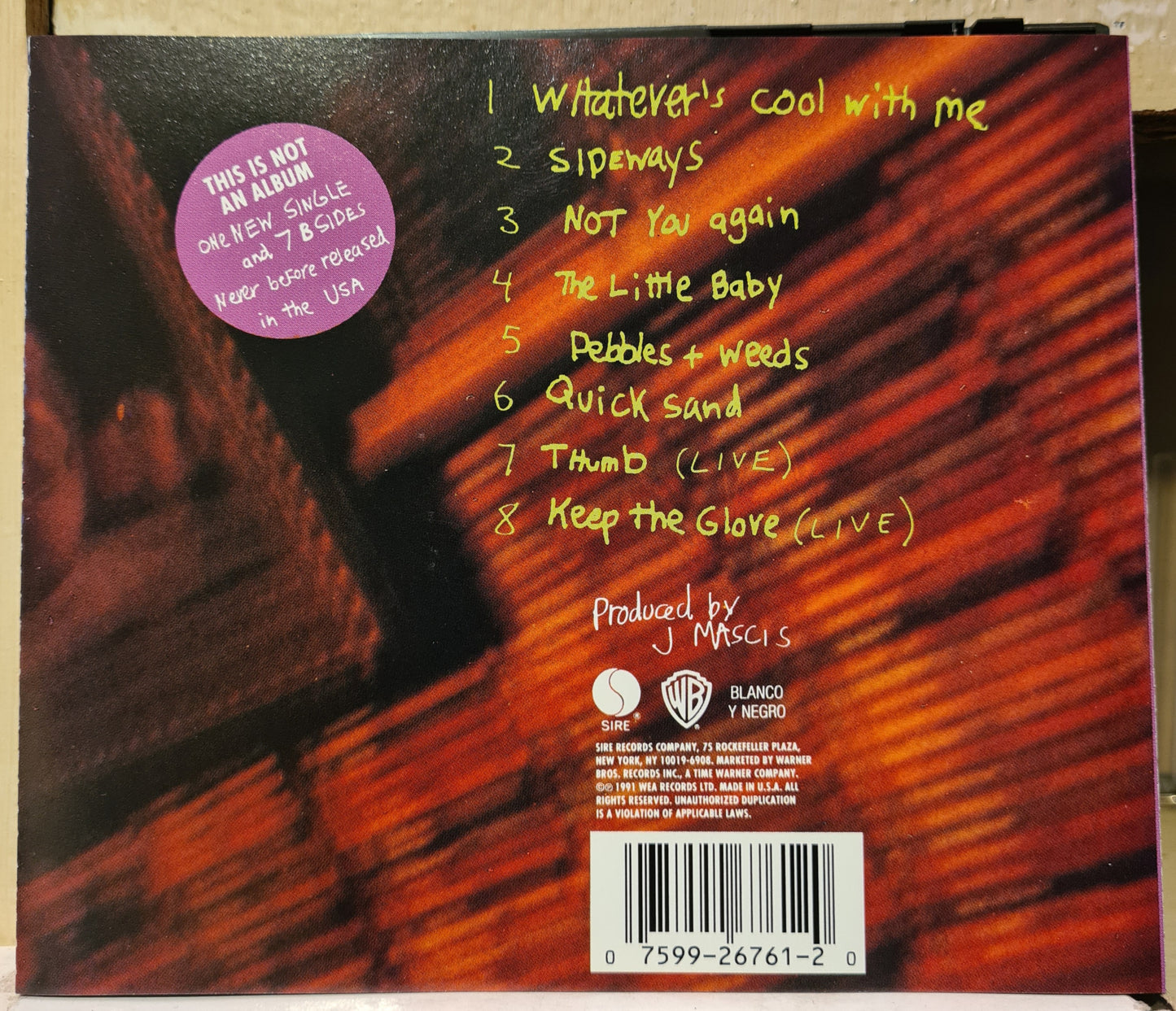 Dinosaur Jr ~ Whatever's cool with me