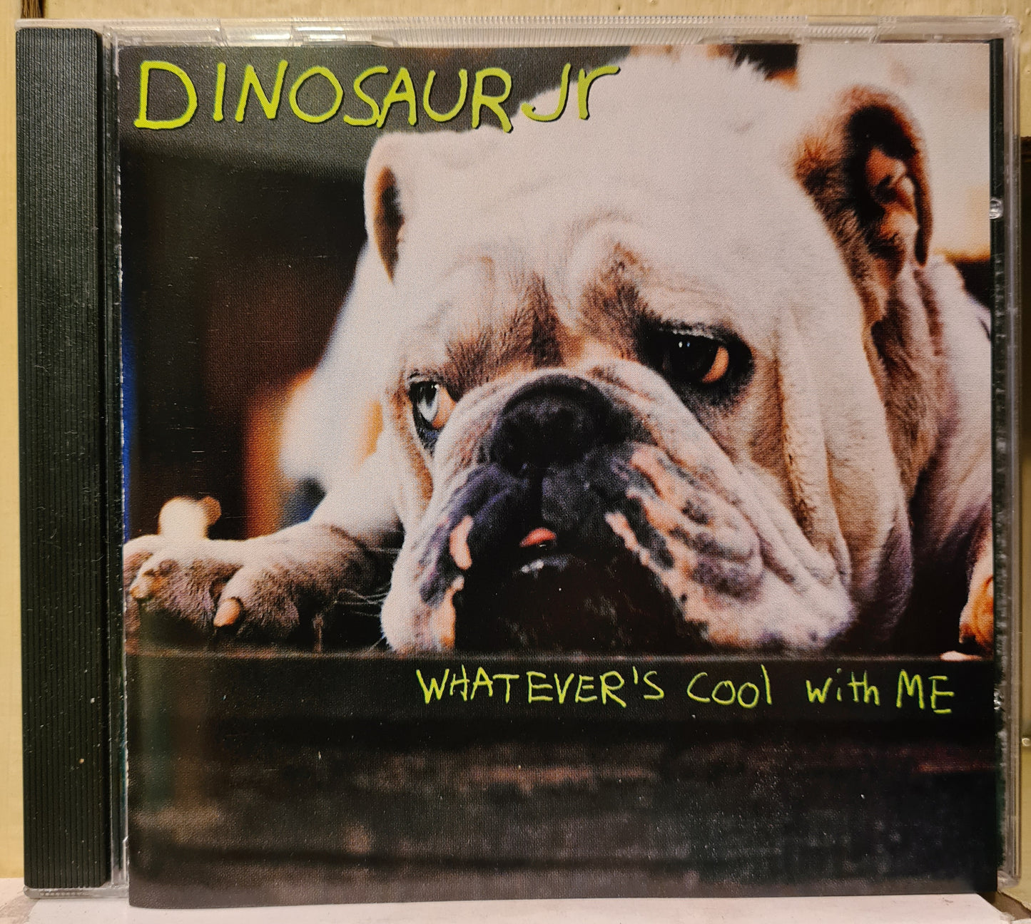 Dinosaur Jr ~ Whatever's cool with me